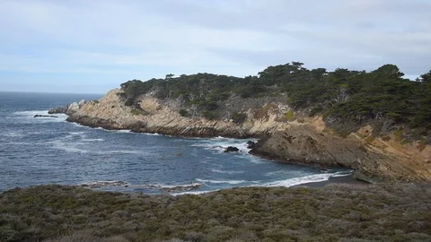 Point Lobos State National Reserve Stock Footage 101337126