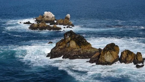 Point Lobos State National Reserve Stock Footage 101339093