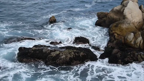 Point Lobos State National Reserve Stock Footage 101340883