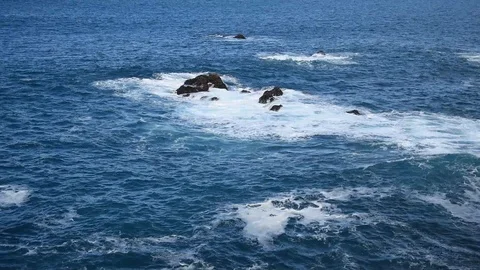 Point Lobos State National Reserve Stock Footage 101341043