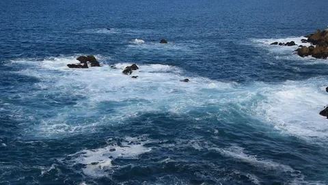 Point Lobos State National Reserve Stock Footage 101344873