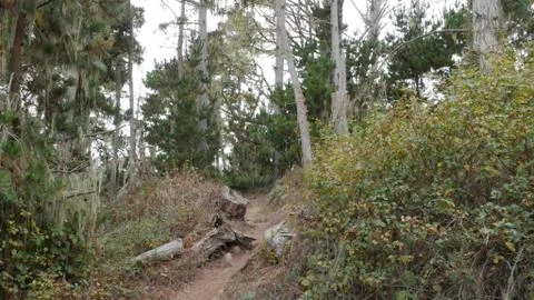 Point Lobos State Natural Reserve, Carmel California USA Stock-Fotos