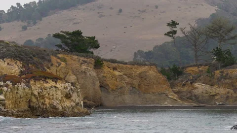 Point Lobos State Natural Reserve.Rocky beach, cypress forest, and Pacific Ocean Stock Footage 221104627