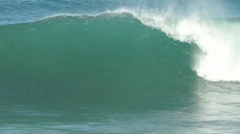 Point-panic-8 動画素材 8575009