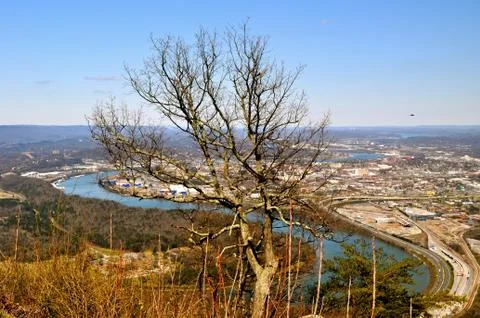 Point park overlook tree 写真素材