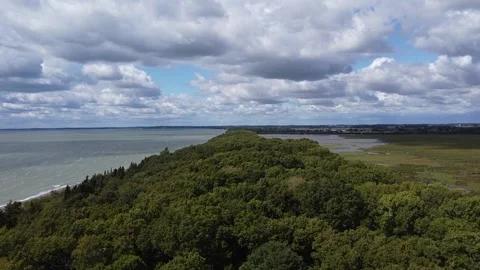 Point pelé 스톡 동영상 232537353