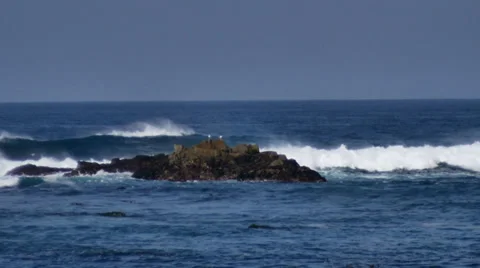 Point pinos rocks3 Видео 34716450