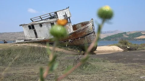 Point Reyes Video stock 100384443
