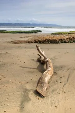 Point Reyes Landscape Stock Photos