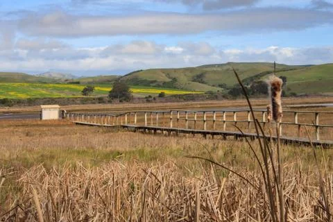 Point Reyes Landscape Stock Photos
