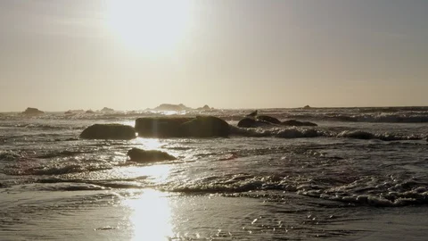 Point St. George Beach, Crescent City, California V3 Stock Footage 90923241