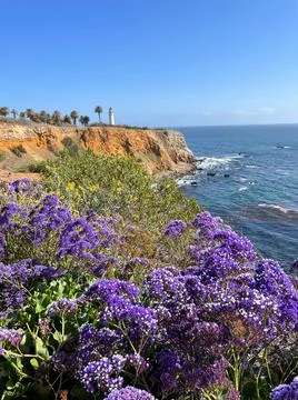 Point Vicente Lighthouse Foto stock