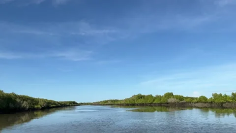 Point of view along the river Stock Footage 236726881