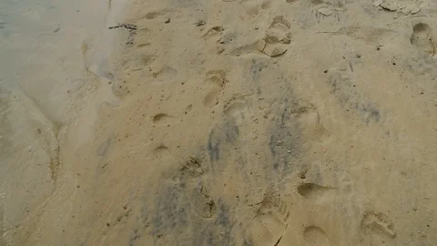 Point of view and the first perspective of a tourist who goes along the sandy 스톡 동영상 101891692