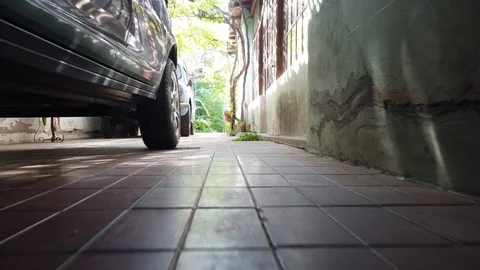 Point Of View Of An Animal Running Escaping 4K 60 Fps Stock Footage 126284567
