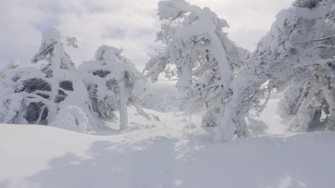 Point of view into beautiful sunny landscape of frozen trees Stock Footage 86771193