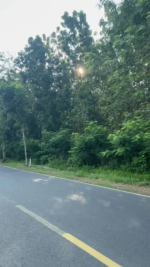 Point of view of a biker passing through a rural road. Stock Footage 314313249