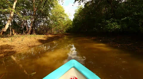 Point Of View From Boat On Rainforest River In Costa Rica HD Video Stock Footage 25065416