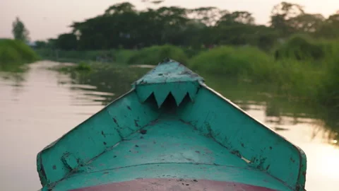 Point of view of a boat sailing on a jungle river at sunset Stock-Footage 333204445
