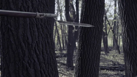Point of view of British soldier marching through the forest, 1781 - Reenactment Stock Footage 202896148