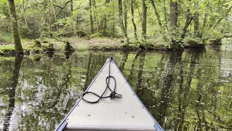 Point of view of a canoe paddling on a calm river with reflections of a green Video stock 337809947