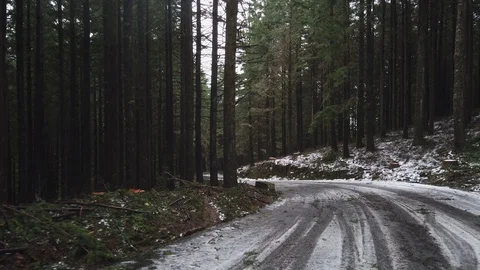 Point of view of a car driver progressing through a winter road in Poiso Stock Footage 121629562