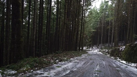 Point of view of a car driver progressing through a winter road in Poiso Stock Footage 121632049