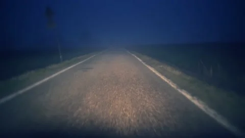 Point of view of a car driving at night on a rainy and foggy country road Stock Footage 169713789