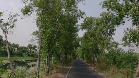 Point of view of a car going through a beautiful rural road, Stock Footage 197360001