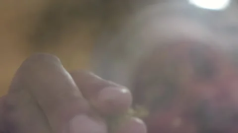 Point of view of chef adds spice to a dish Stock Footage 140879593