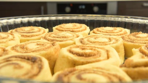 Point of view: cinnamon rolls being put into the hot oven. Stock Footage 59701441