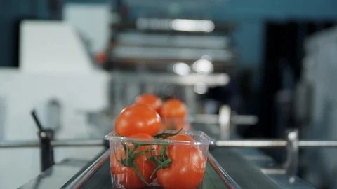 Point Of View, Close-Up, 10 Seconds Or Greater, On The Move, Freshness, Indoors, Stock Footage 94011475