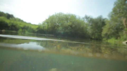 Point of view of a crocodile on a river in summer Stock Footage 86750568