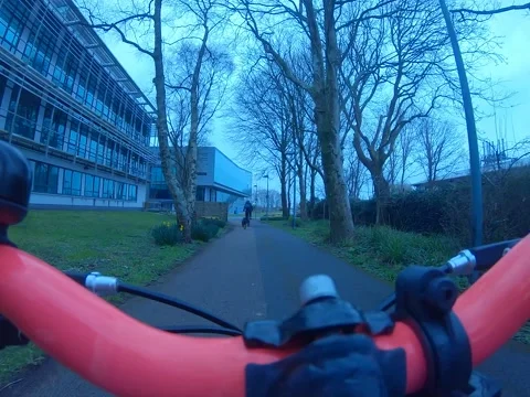 Point of view Cycle down path with flowers and trees into an open space Stock Footage 232960215