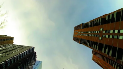 Point Of View Of Directly Below View Of Tall Skyscrapers In City - New York, New Stock Footage 219391137
