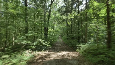 Point of View Dirt Biking Through the Forest Stock Footage 78022183