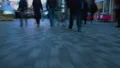 Point of view of dog searching for owner on crowded pedestrian street, panic HD Footage