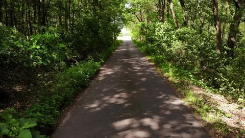 Point of view dolly shot of red haired girl riding bike on forest road Stock Footage 134824179
