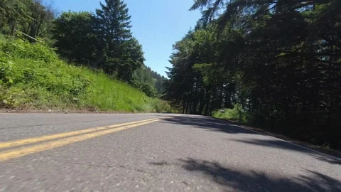 Point of view driving on a forest road on a summer day Stock-Footage 310283813