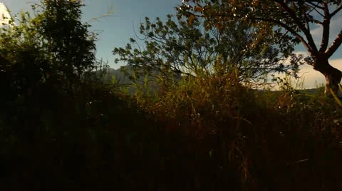 Point Of View Driving Past a Field and Jail In Costa Rica HD Video Video stock 25659568