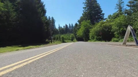 Point of view driving through the countryside with trees on a sunny day. Stock-Footage 310967120