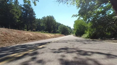 Point of view driving through the countryside with trees on a sunny day. Stock-Footage 310967121