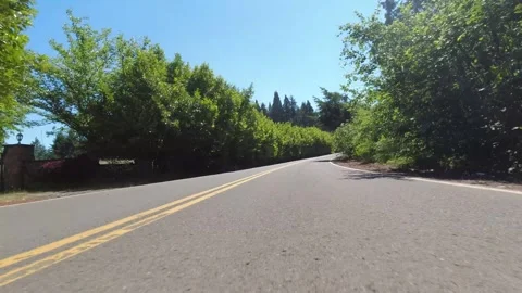 Point of view driving through the countryside with trees on a sunny day. Stock-Footage 310967122