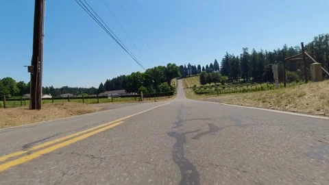 Point of view driving through the countryside with trees on a sunny day. Stock-Footage 310967131