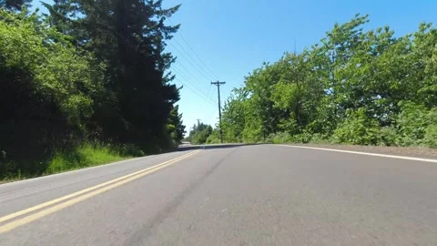 Point of view driving through the countryside with trees on a sunny day. Stock-Footage 310967146