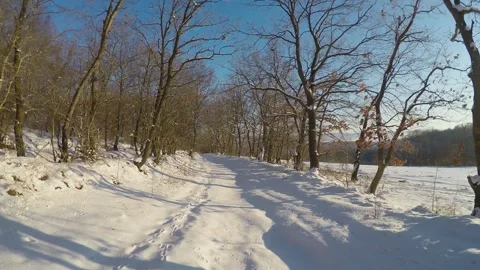 Point of view driving through a snow covered winter forest road 库存影片 347744741