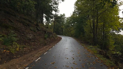 Point of view driving on wet winding road during an autumn road trip Stock Footage 348133271