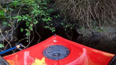Point of View entering a Cave from a Kayak Stock Footage 243593616