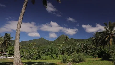 Point of view from exotic road to palms and mountains of Caribbean Cook Islands. Stock Footage 215105601