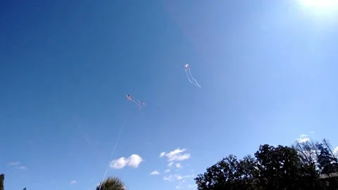 Point of View Flying Kites on a sunny day at the park 02 動画素材 149089464